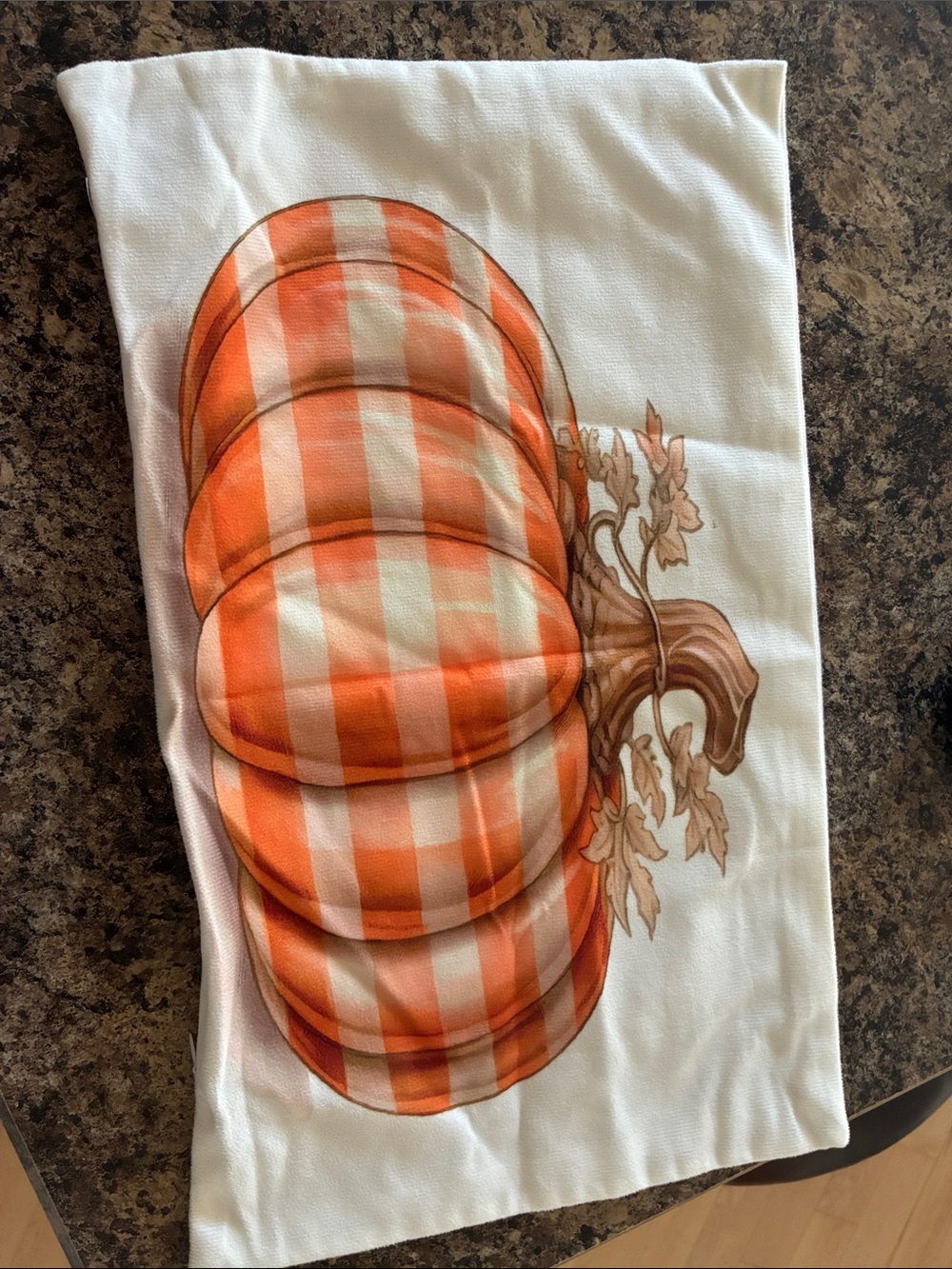 Autumn Checkered Orange Pumpkin Throw Pillow Cover